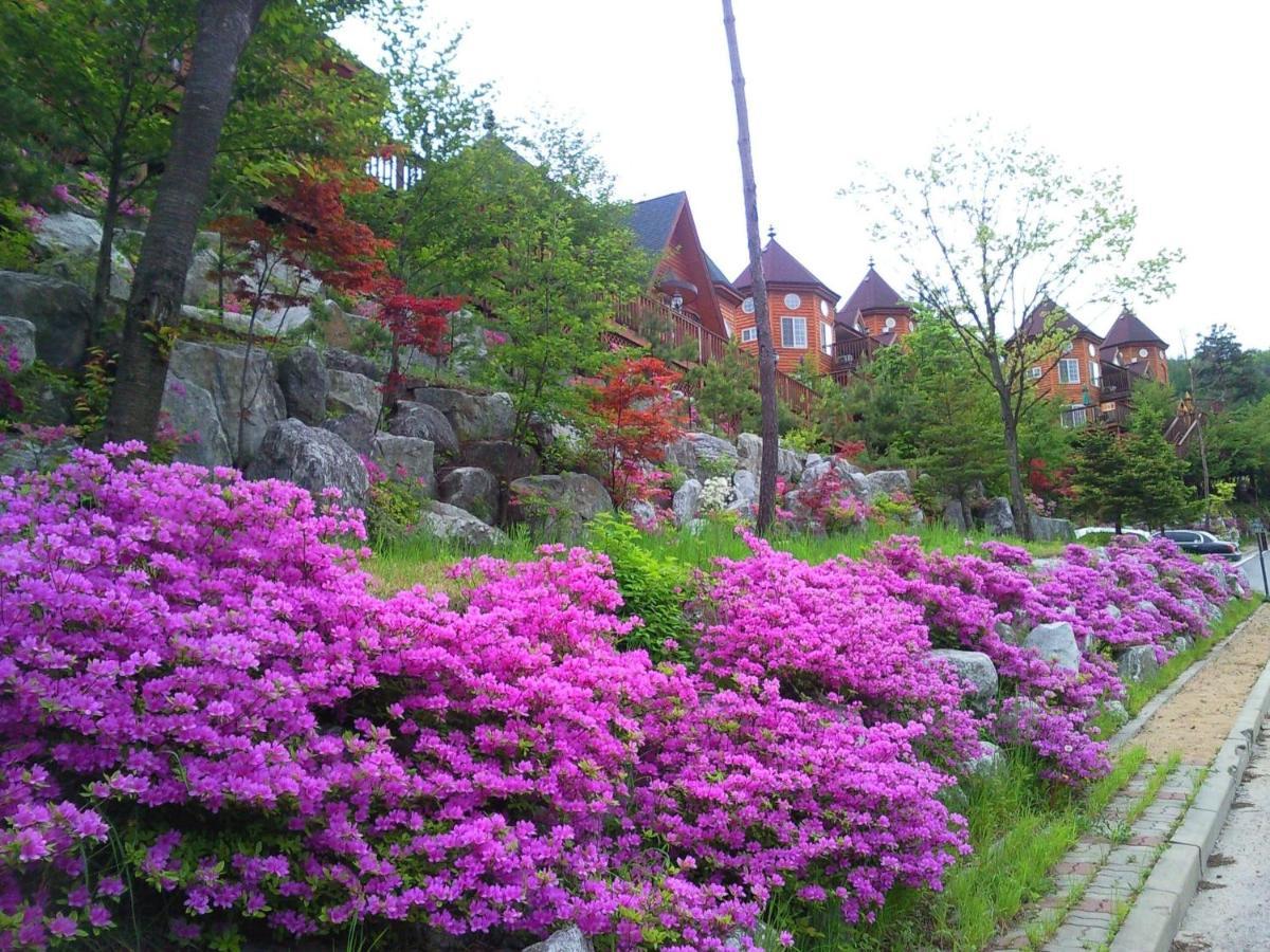 Elf Resort Hotel Pyeongchang Esterno foto