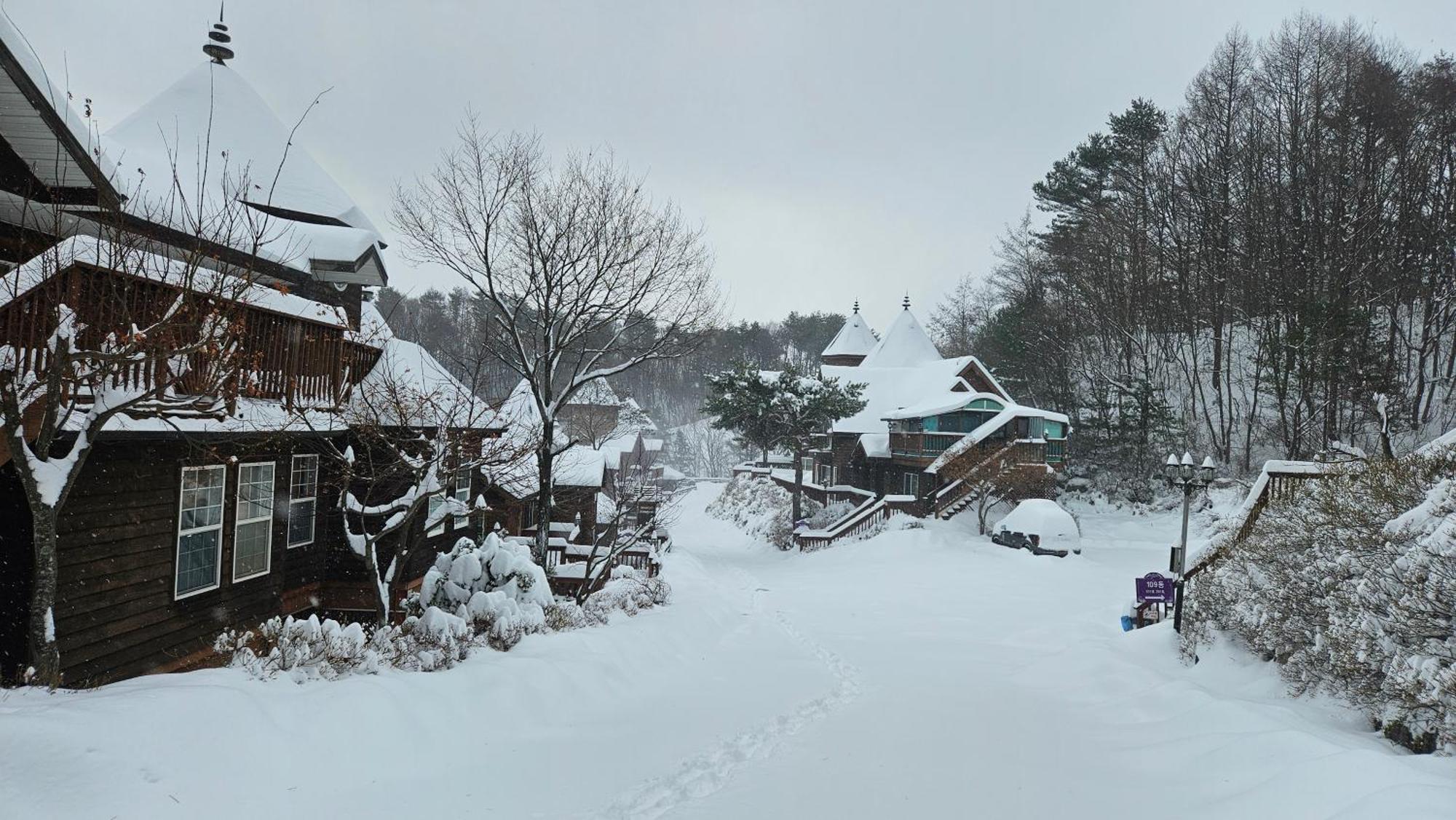 Elf Resort Hotel Pyeongchang Esterno foto