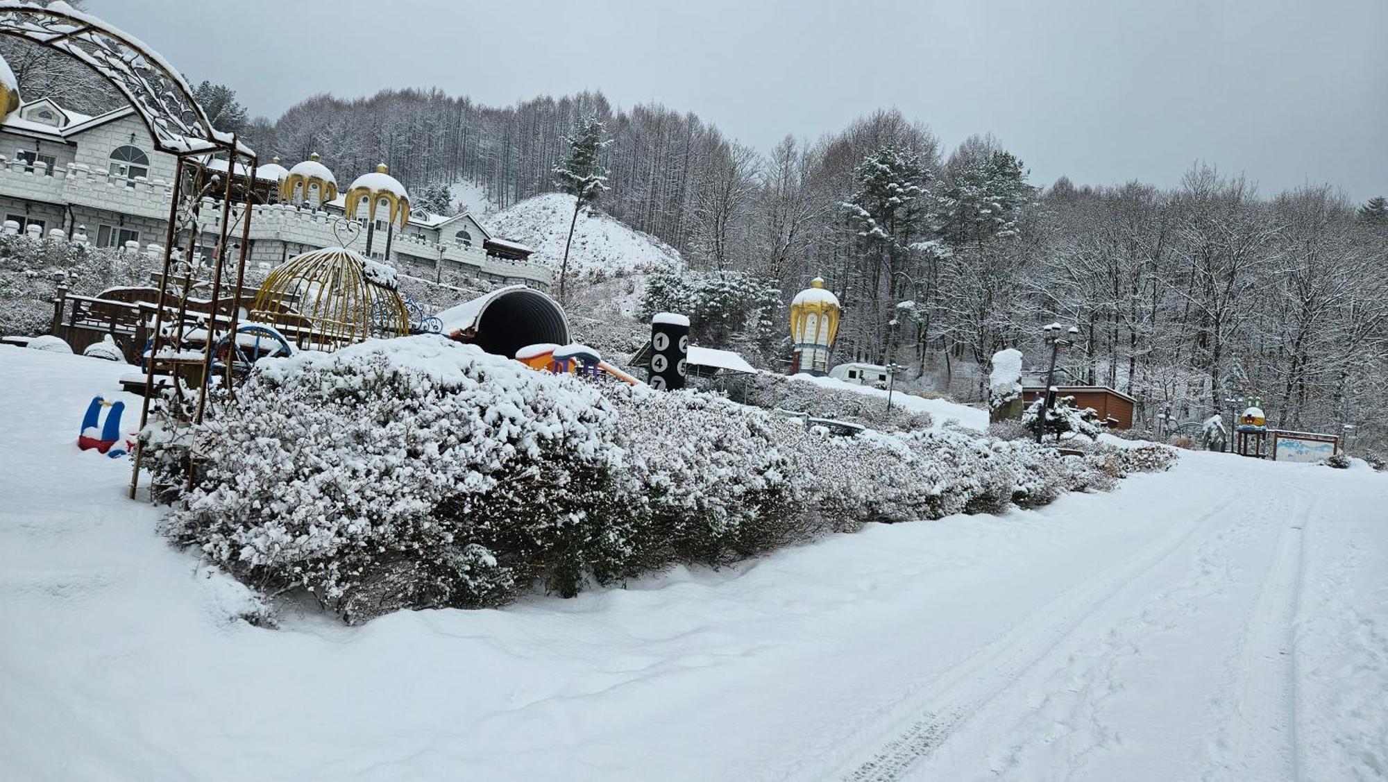 Elf Resort Hotel Pyeongchang Esterno foto